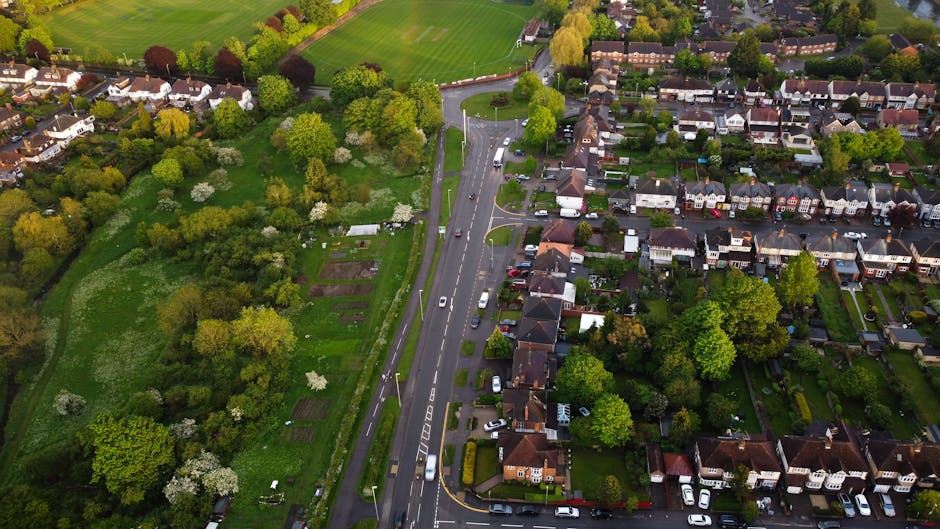 An aerial view capturing a residential street in East Bedfont, with a row of terraced houses on the right side, each with front gardens and driveways, and a large green park on the left side featuring mature trees, grassy areas, and garden plots. A main road runs vertically through the centre of the image, with several cars visible driving or parked along it. The scene is illuminated by natural daylight, highlighting the lush greenery and the orderly arrangement of houses and gardens, illustrating typical neighbourhood logistics involved in home relocation and furniture transport, as managed by Man with Van East Bedfont during packing and moving processes.