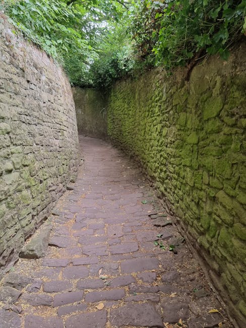 A narrow, cobblestone pathway enclosed by high, weathered brick walls on both sides, with the stones showing signs of moss and age. The pathway is slightly curved and leads into a green, leafy area with overhanging branches and foliage creating a canopy overhead. There are no objects or furniture visible in the scene. This image, taken as part of home relocation or furniture transport planning, illustrates an outdoor access route that could be relevant for planning moving logistics in East Bedfont, as referenced on the 'Best Removal Routes on Bedfont Lane' page of Man with Van East Bedfont.